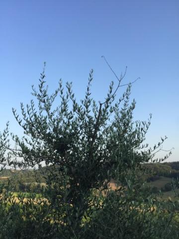 Casa Natura Сasa de vacaciones