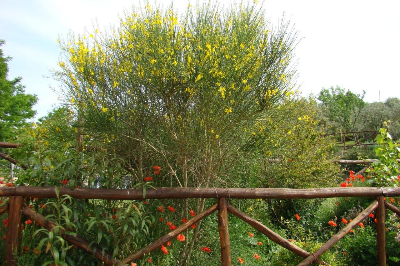 Casa Natura