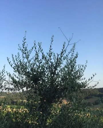 Casa Natura San Gimignano Exterior photo