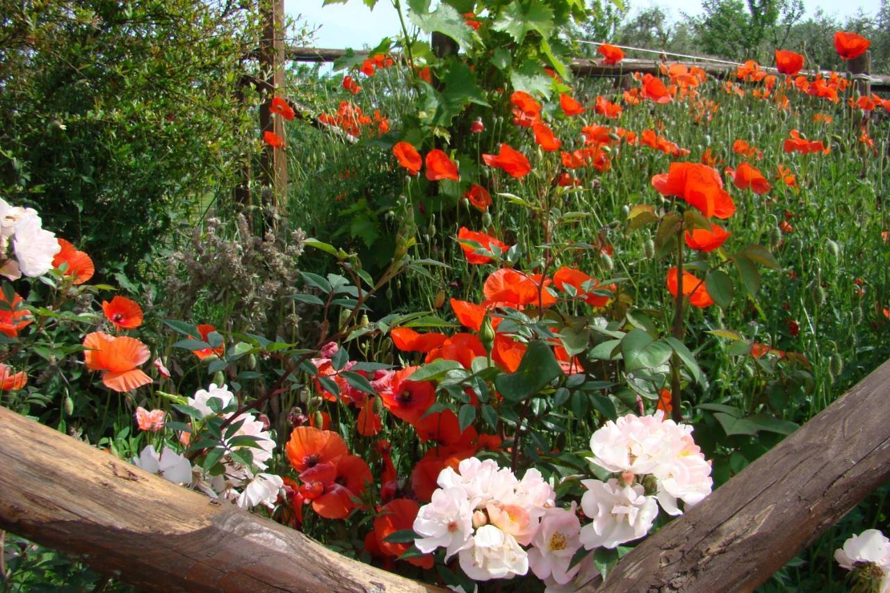 Holiday home Casa Natura San Gimignano